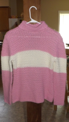 Simple Striped Turtle Neck Sweater